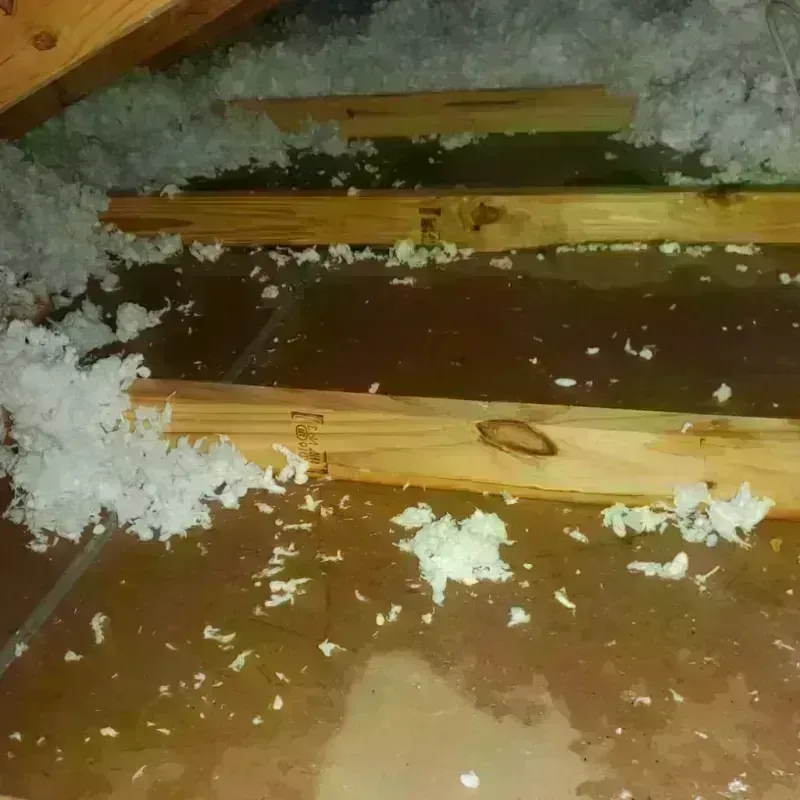 Attic Water Damage in Rosewood Heights, IL