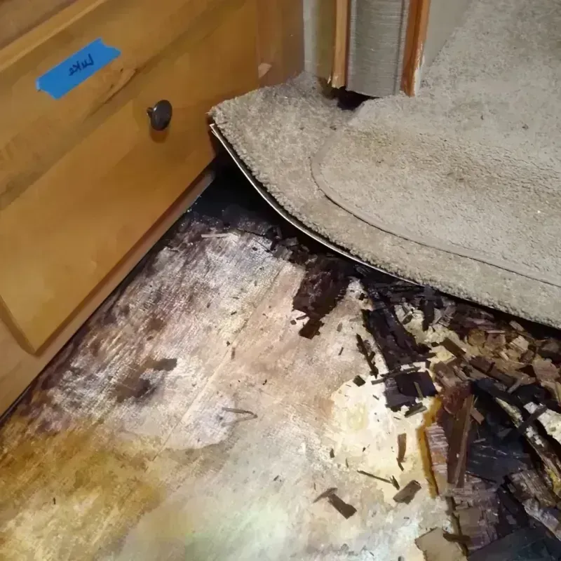 Best Wood Floor Water Damage Service in Rosewood Heights, IL